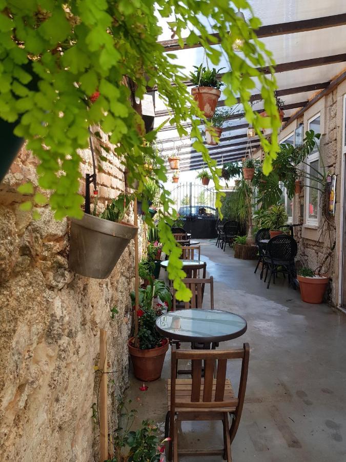 Garden Place Alojamento Local Viseu Eksteriør bilde
